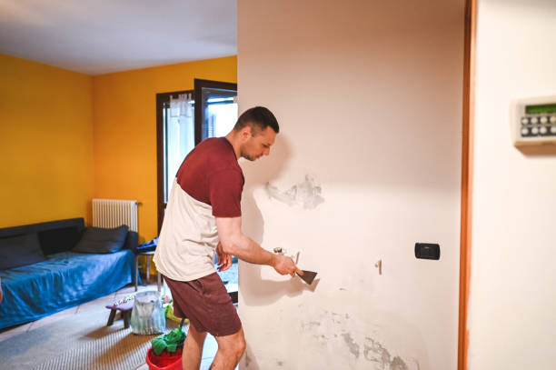 Best Commercial Mold Removal  in White Oak, TX